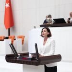 Alara Çayı Yine HES Tehdidi Altında