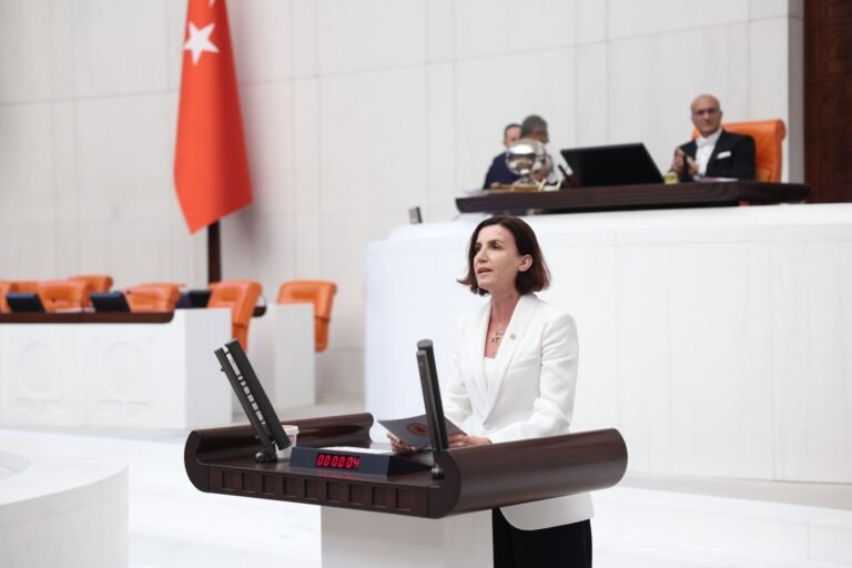 Alara Çayı Yine HES Tehdidi Altında