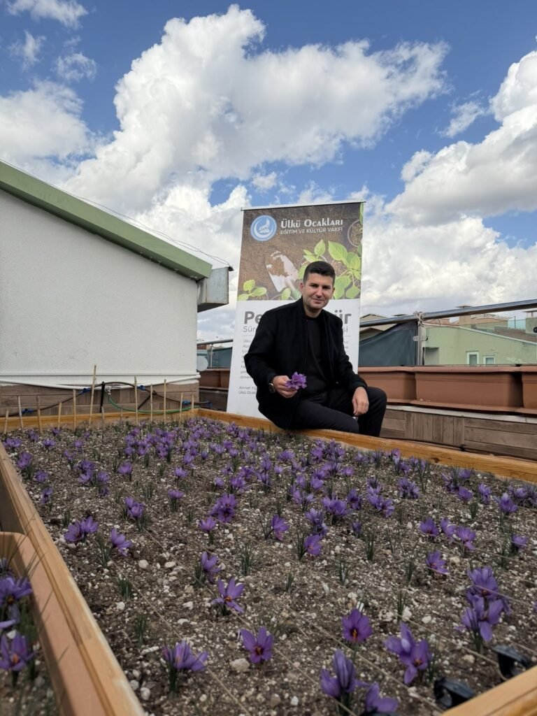Ülkü Ocakları’ndan Permakültür Hamlesi: Safran Hasadı Gerçekleşti