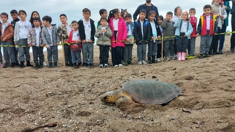 Emniyet Kurtardı, Çocuklar Uğurladı, Yaralı Caretta Caretta Denizle Buluştu
