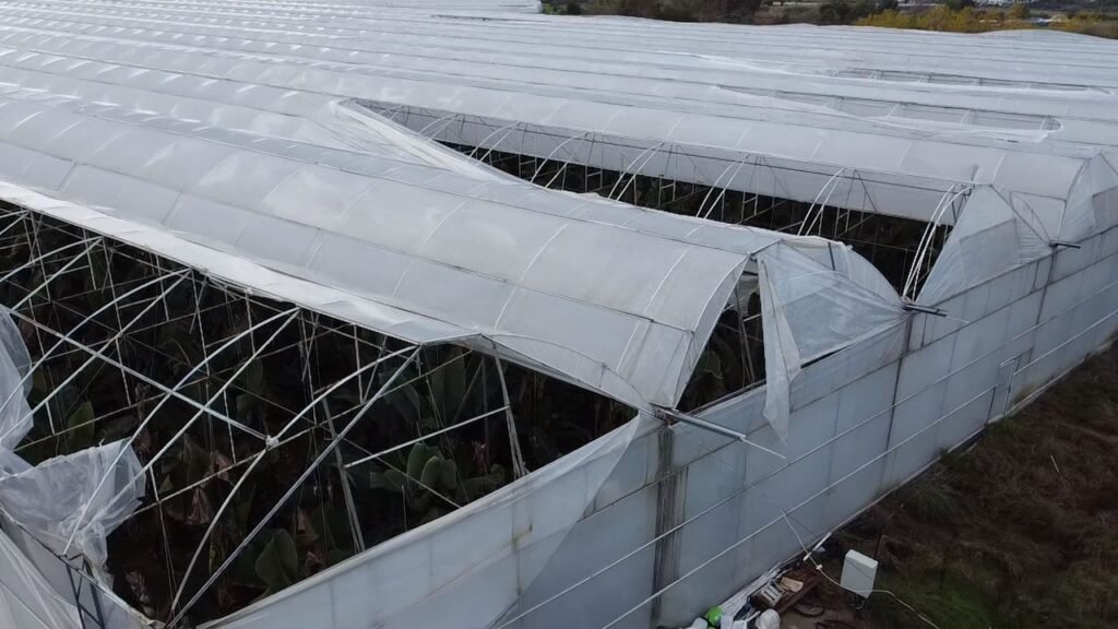 Manavgat’ta hortum felaketi: 4 serada büyük hasar