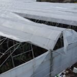 Manavgat’ta hortum felaketi: 4 serada büyük hasar