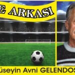 TOTEM Mİ?..                                                               “Mehmet Çiçek’e”..