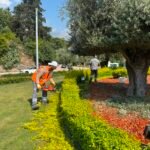 Yeşil alanlarda genel temizlik ve bakım yapıldı