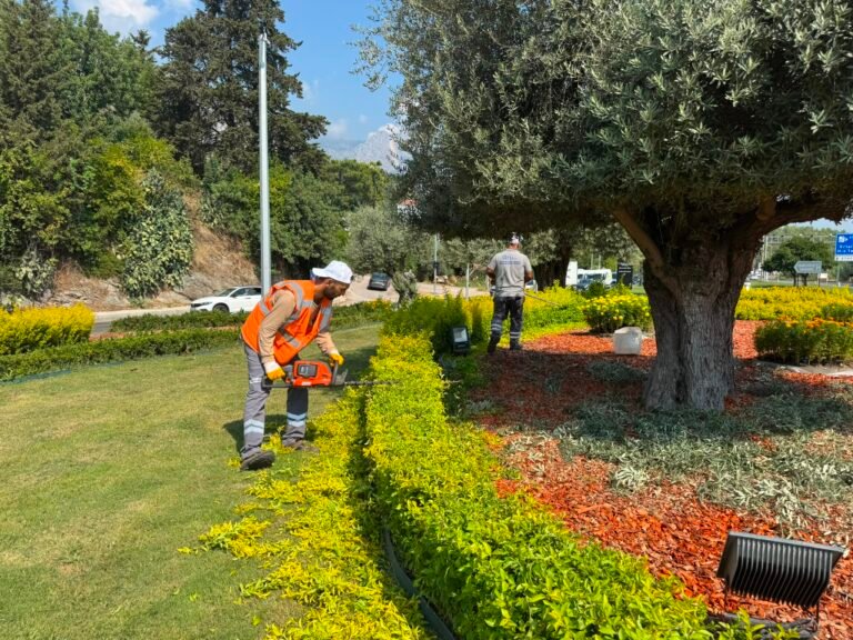 Yeşil alanlarda genel temizlik ve bakım yapıldı