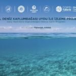 COP31 Öncesi Antalya’dan Dünyaya Güçlü Mesaj:Kaplumbağalar Bilimle Korunacak