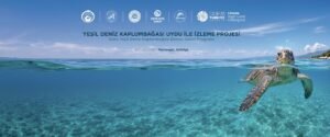 COP31 Öncesi Antalya’dan Dünyaya Güçlü Mesaj:Kaplumbağalar Bilimle Korunacak