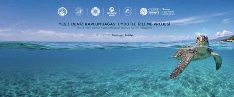 COP31 Öncesi Antalya’dan Dünyaya Güçlü Mesaj:Kaplumbağalar Bilimle Korunacak